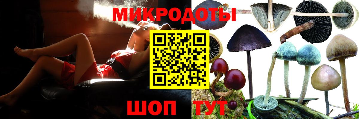 Псилоцибиновые грибы ЛСД  Вход с VPN  купить наркотик  Шуя 